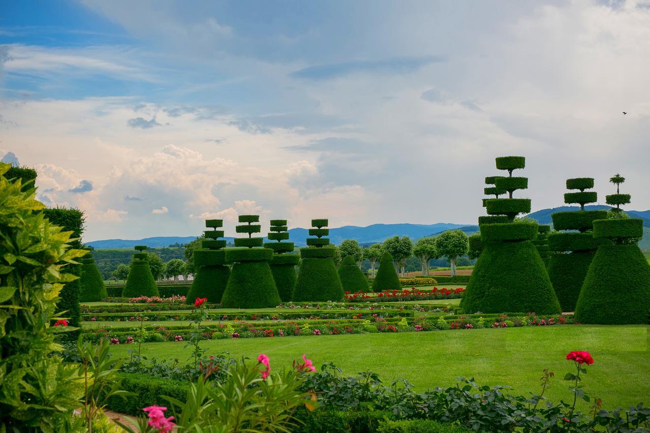 Chateau De Pizay Belleville-sur-Saône Zewnętrze zdjęcie